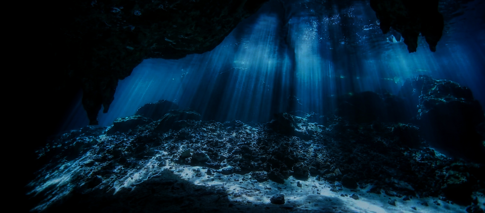 スクリーンショット 2026-01-19 14.42.34.png