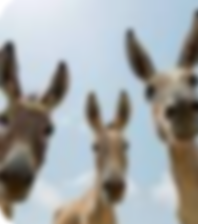 Screenshot 2024-08-01 at 17.56.16.png