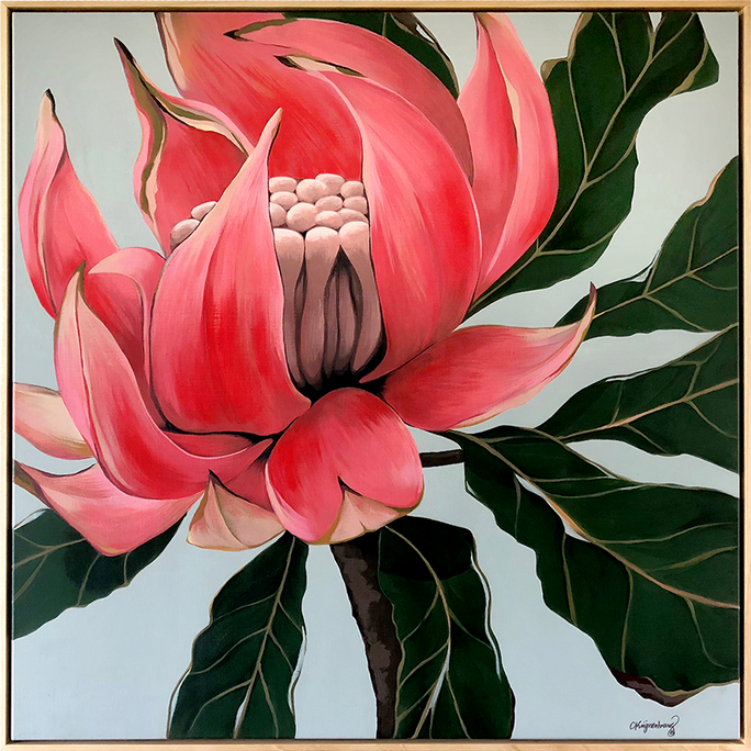 WARATAH