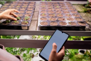 Dispositivos Eletrônicos no Agro: Como a Tecnologia Pode Ajudar em Sua Produção