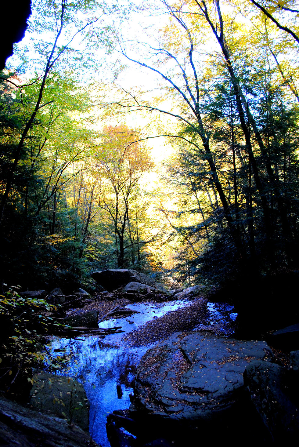 McConnells Mill State Park, PA