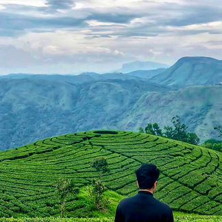Vagamon is a paradise for thrill-seekers. With activities like paragliding, off-road jeep safaris, rock climbing, and trekking