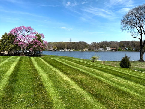 Residential weekly lawn mowing and precise lawn striping service in Lafayette, Indiana.