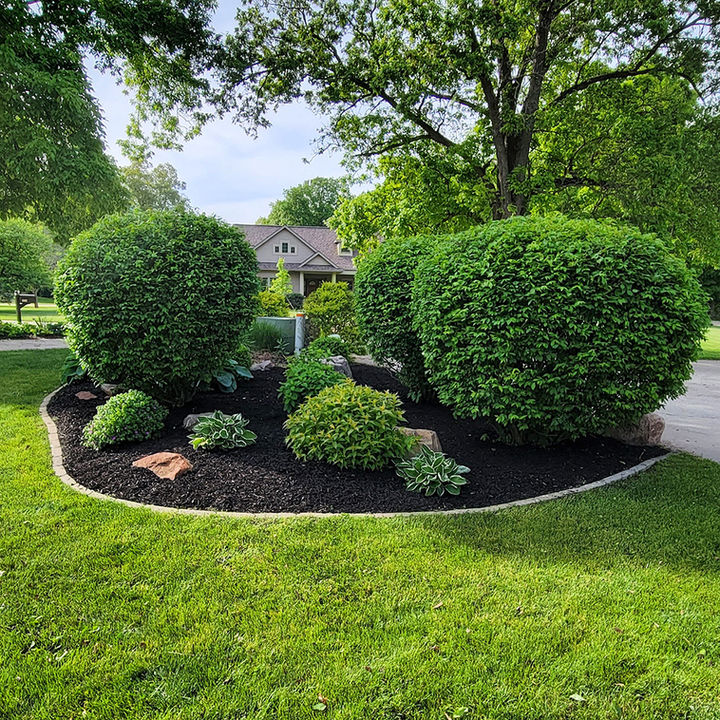 Professional shrub pruning and garden bed maintenance services by Blue Sky Lawn Care in Monticello, Indiana.