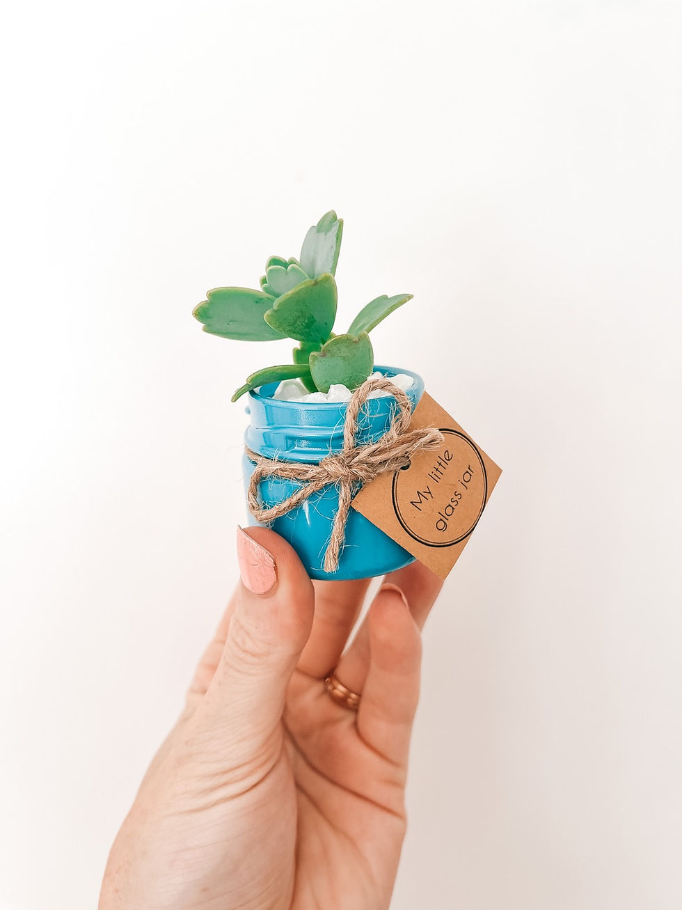Thumbnail: Assorted Succulent Jar ~ Small 