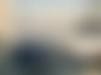 出入境規定與第二護照申請的文件核查概念插圖