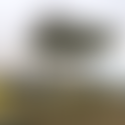 Front view of a completed fueling station upgrade featuring dual aboveground tanks, new dispensers, yellow bollards, and updated safety signage under a clean white canopy.