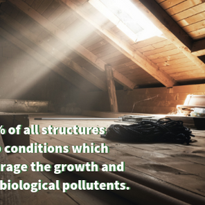 4 Signs That You Might Have Mold in Your Attic