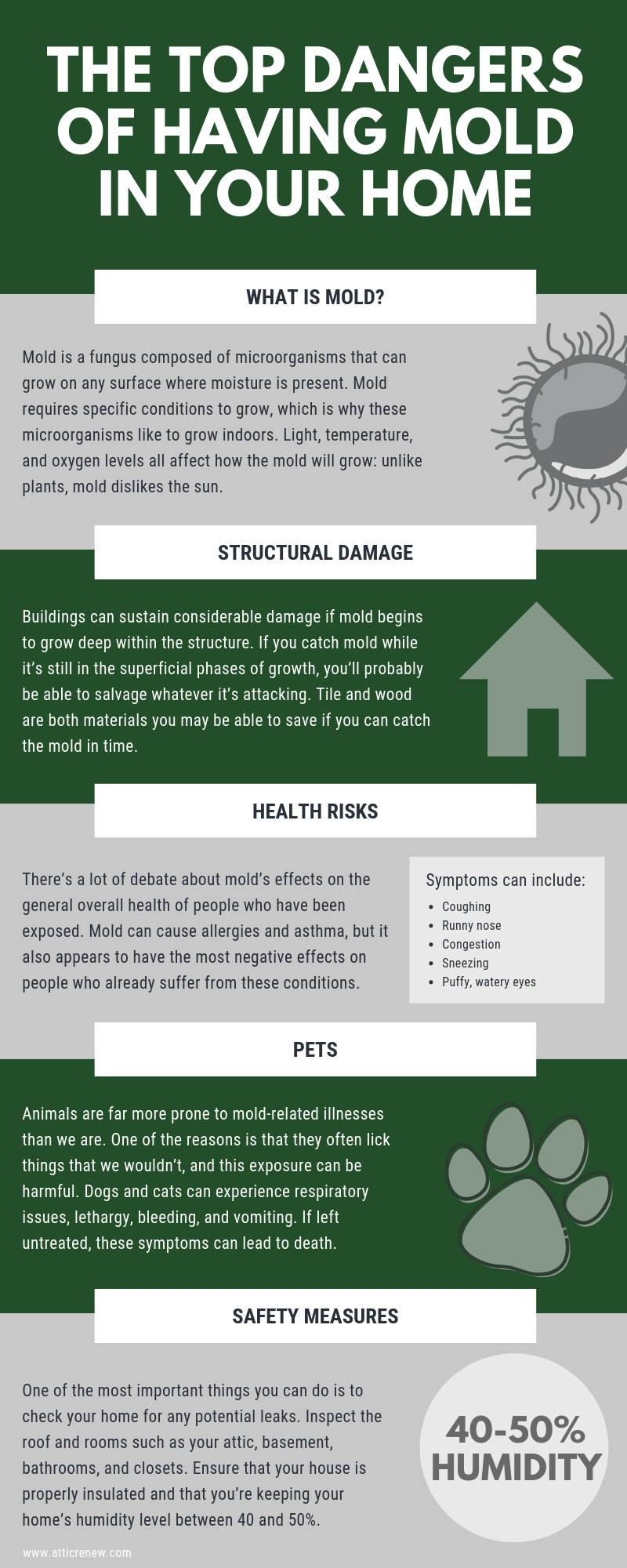 top dangers of having mold in your home infographic