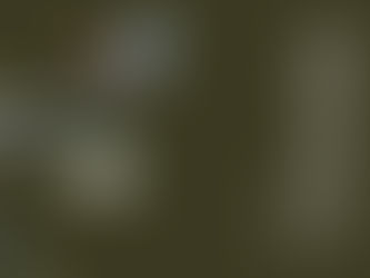 新年、明けましておめでとうございます