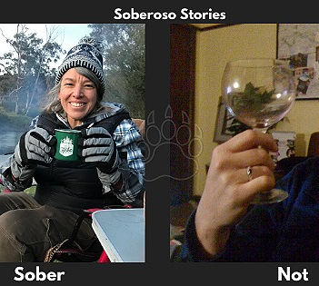 High Functioning Alcoholic To Insta Sober