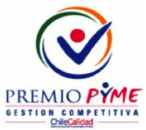 Premio PYME 2009