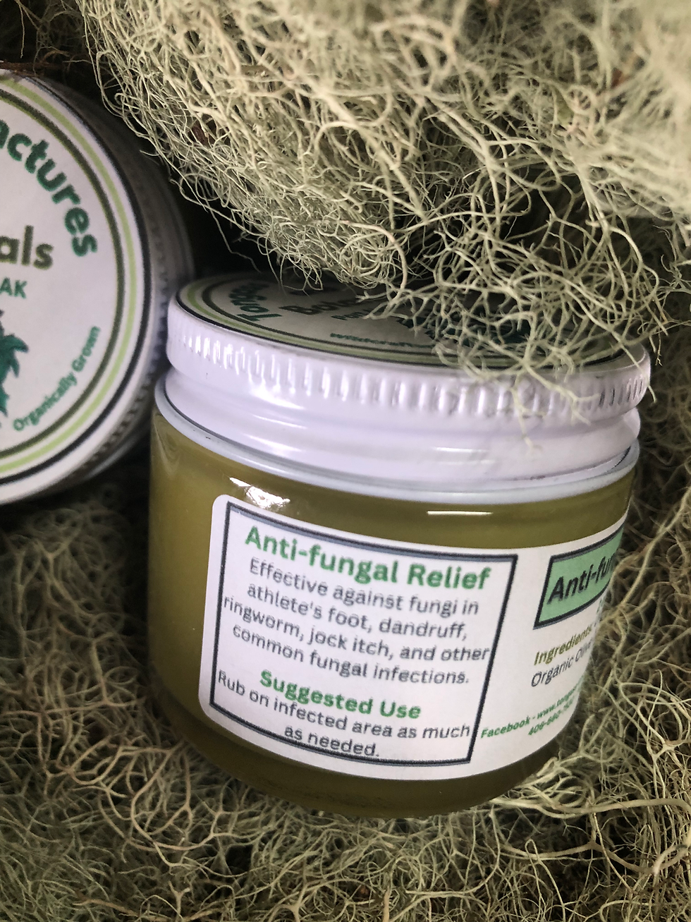Thumbnail: Usnea Salve (2 oz)
