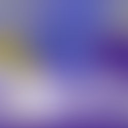 Lunar é destaque no prêmio UnBCast