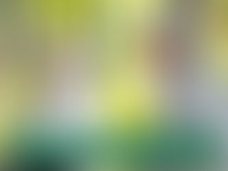 Respiratory Health Tips for the Elderly with MedInstant