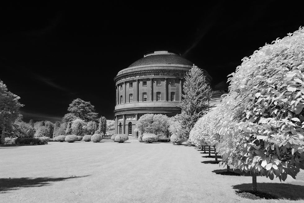 The Rotunda At Ickworth