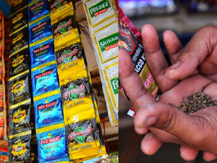 खर्ड्यात अवैध गुटखा व तंबाखू टपऱ्यांविरुद्ध धडक कारवाई; २ आरोपींना स्थानिक गुन्हे शाखेने पकडले