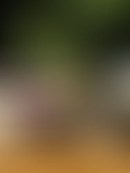 अवैध धंद्यावाल्यांचे धाबे दणाणले
खर्डा हद्दीत स्थानीक गुन्हे शाखेचा छापा, तिरट जुगार अड्ड्यांवर ४० जण ताब्यात; लाखोंचा मुद्देमाल जप्त