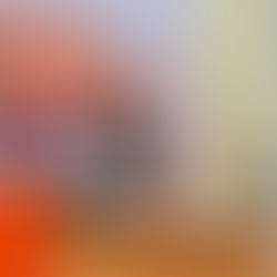 “पाच वर्षे, पाच उपनगराध्यक्ष” – जामखेड नगरपरिषदेत दर वर्षी वेगळ्या नगरसेवकाला नेतृत्वाची संधी,सभापती प्रा. राम शिंदेंची सूत्रबद्ध योजना जाहीर