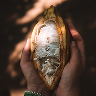 cacao sacré - cérémonial.jpg