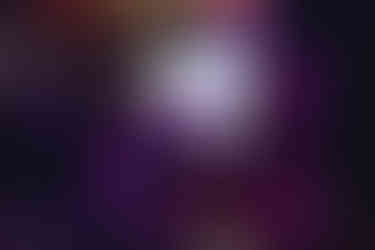 Brighton music scene, The Bee's Mouth, photography