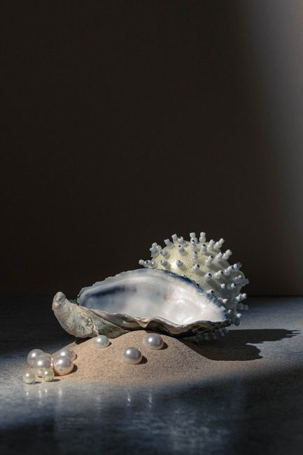 Still life photography. Dark shadow with light. Pile of sand, oyster shell, and sea urchin sculpture, underwater inspired
