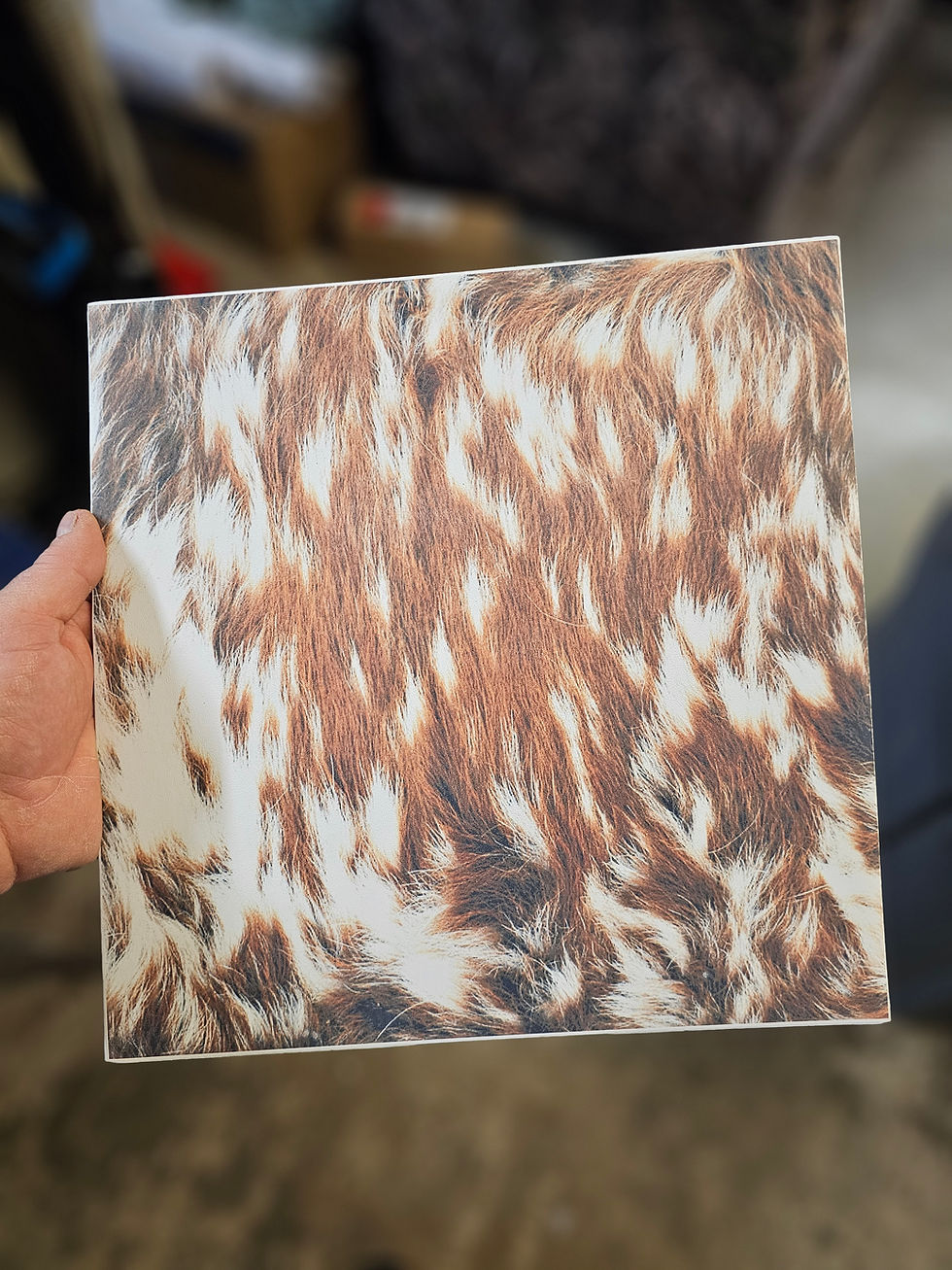 Thumbnail: Cows