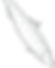 Fish 3_edited.png