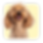 Molly's Happy Tails How To Book