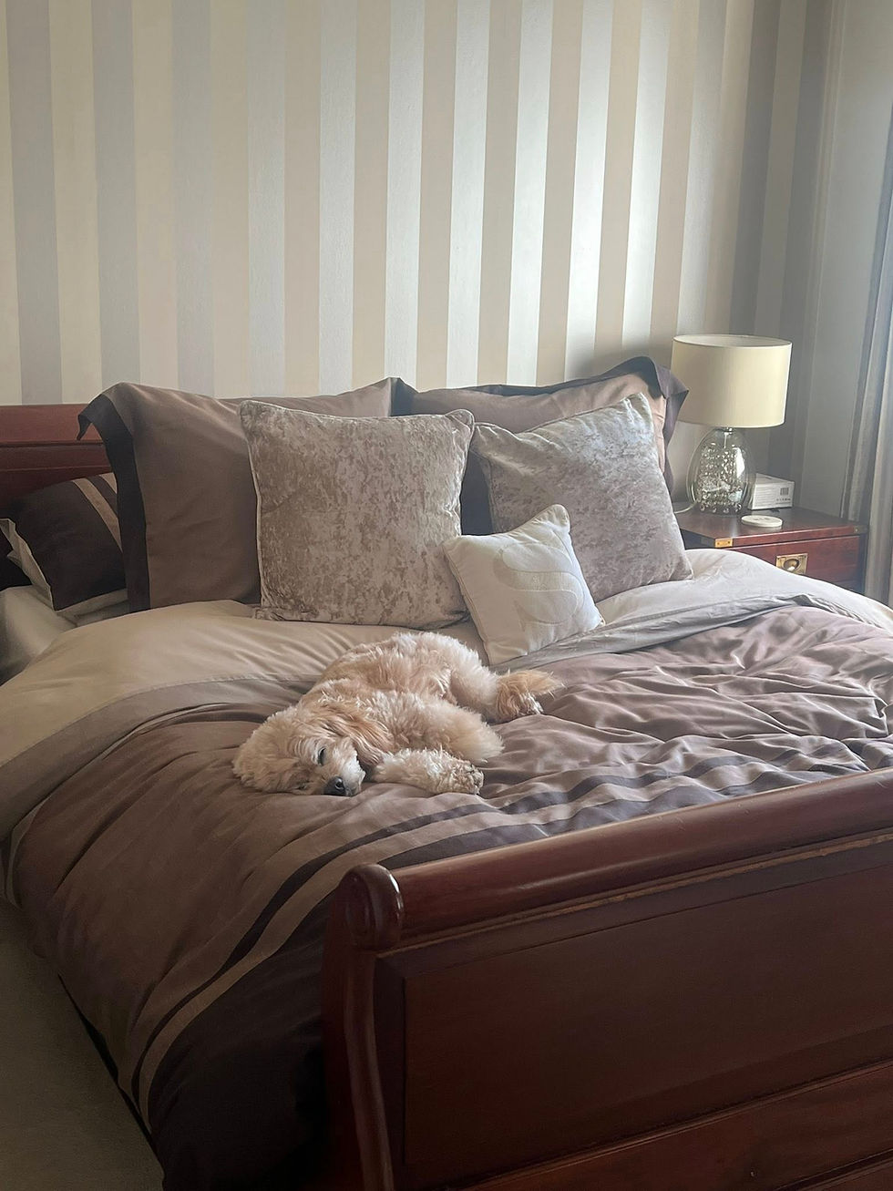 Having a professional sitter stay overnight doesn't just benefit your pets; it benefits your property, too!