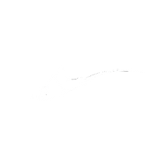 shark_icon_white.png