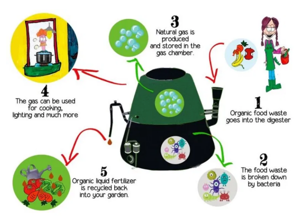 Confronting food waste: restaurants eliminating food waste