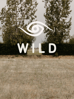 The Nine x W I L D | Photography Exhibition in Brussels | An Invitation to Reflect and Connect