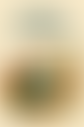 Eski Eşyalarımı Nakite Nasıl Çevirebilirim?: Ankara İçin En Kolay Yol