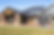 CleanShot 2023-07-22 at 12.38.39_2x.png