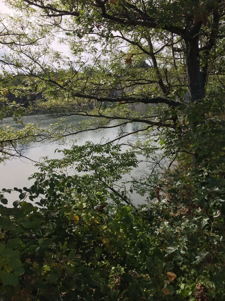 Foster Place Apartments,  Tewksbury, MA