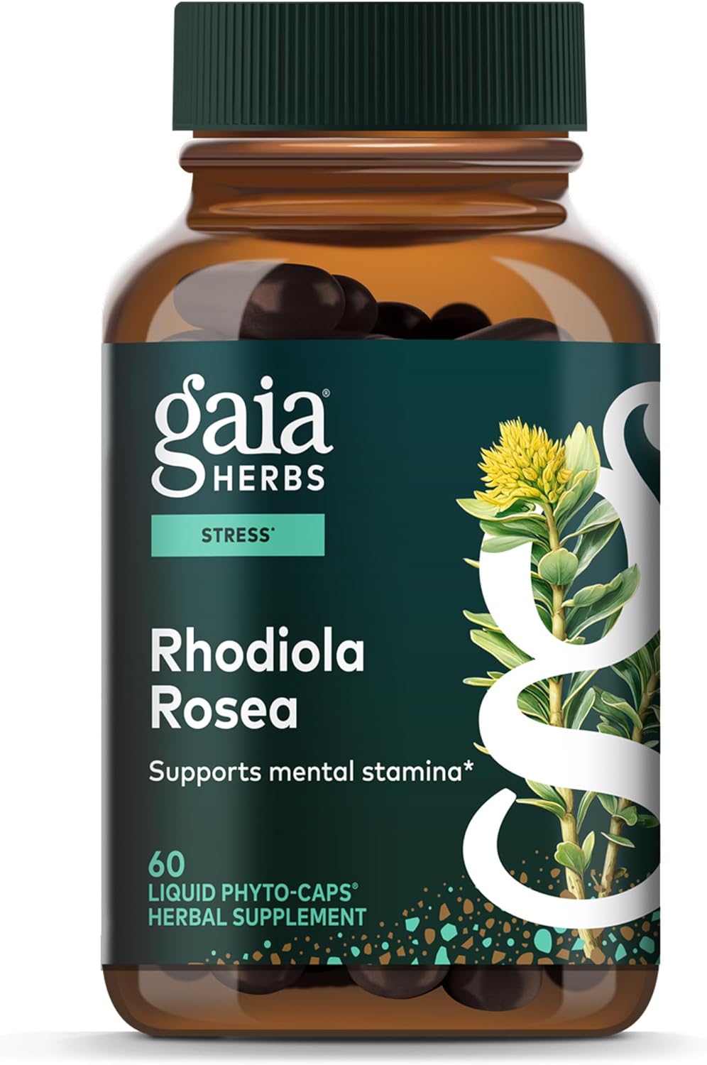 Rhodiola Rosea