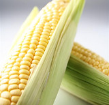 Fresh Corn