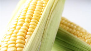 Mexican Corn Soup