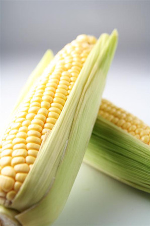 Fresh Corn