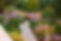 landscape.jpeg