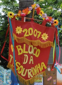 Blocos do Carnaval de Brasília