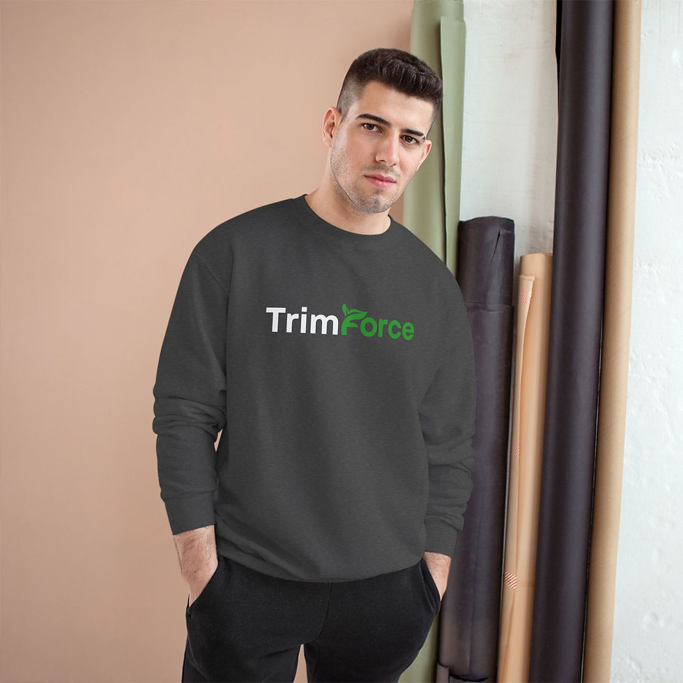 Pikkukuva: Champion-collegepaita – TrimForce-logolla varustettu crewneck-svetari
