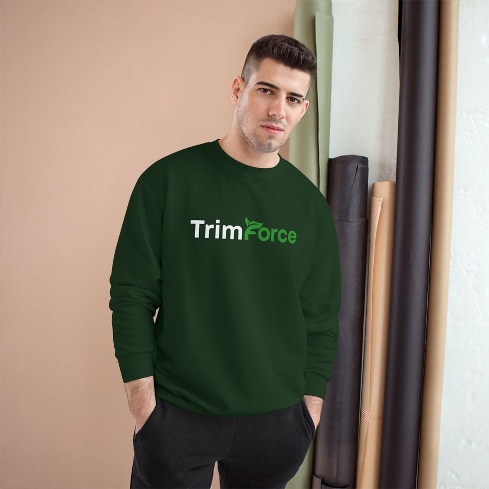 Pikkukuva: Champion-collegepaita – TrimForce-logolla varustettu crewneck-svetari
