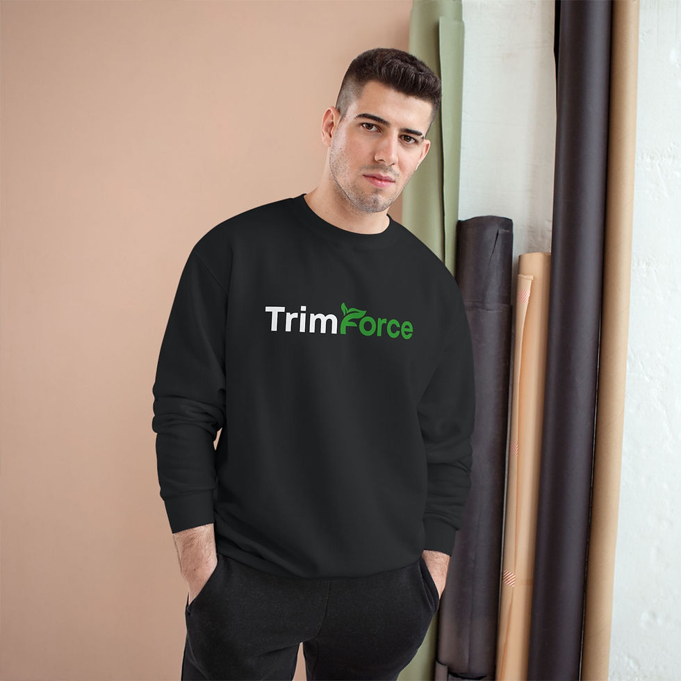 Pikkukuva: Champion-collegepaita – TrimForce-logolla varustettu crewneck-svetari
