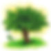 tree with yellow halo.jpeg