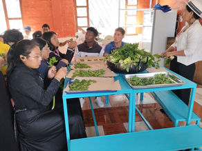 Kitchen Upgrades Transform Education for Indigenous Students
