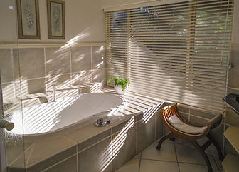 PVC Venetian blinds in North Shore Auckland New Zealand