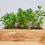 Thumbnail: Wooden Garden Planter