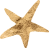 Star1_Gold.png